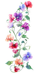 Fototapeta premium Vibrant floral arrangement botanical art illustration colorful background artistic viewpoint nature's beauty