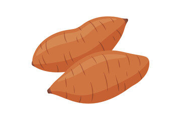 Vector illustration of set of yellow brown sweet potatoes in cartoon flat style. Whole sliced batata or yam isolated on white background. Organic vegetable root, healthy vegan, nutrition carbohydrate