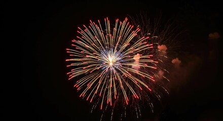 Colorful burst of fireworks in the night sky celebration