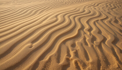 Fototapeta premium Golden sand dunes stretch out under the sun, creating stunning patterns and textures in a mesmerizing desert landscape.