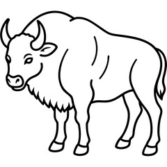 North American Bison Line Drawing