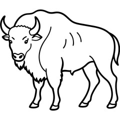 North American Bison Line Drawing