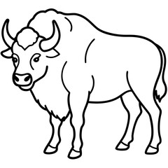 North American Bison Line Drawing