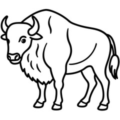 North American Bison Line Drawing