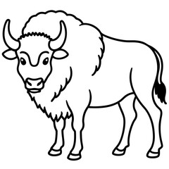 North American Bison Line Drawing