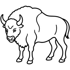 North American Bison Line Drawing