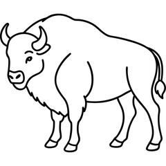 North American Bison Line Drawing