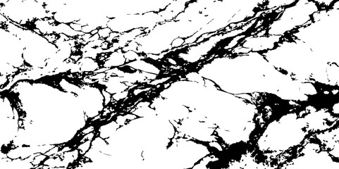 Fototapeta premium A high-contrast, black and white abstract pattern resembling intricate, organic veins or shattered glass against a pristine white background.