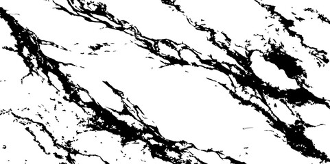 Obraz premium A high-contrast, black and white abstract pattern resembling intricate, organic veins or shattered glass against a pristine white background.