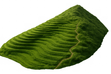 3d rendering of vibrant green rice terraces winding down a hillside, set against a transparent background, ready for integration into diverse design projects