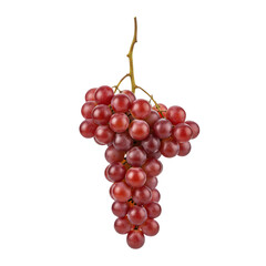 Fototapeta premium Fresh Red Grapes on the Stem - Sweet and Juicy Fruit