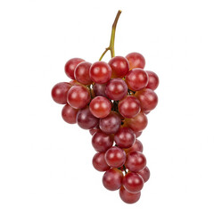 Fototapeta premium Fresh Red Grapes on the Stem - Sweet and Juicy Fruit