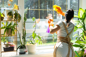 Woman in rubber gloves and apron manually washes window of house with rag cleaner and mop inside interior with home plants on windowsill. Restoring order and cleanliness in spring, cleaning servise