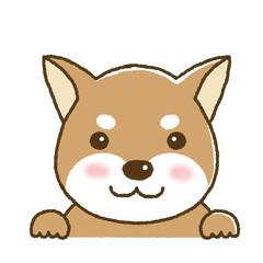 笑顔の表情の柴犬