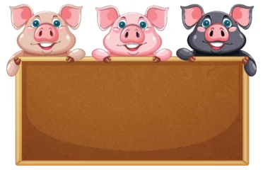  Three Pigs Holding a Blank Sign © GraphicsRF