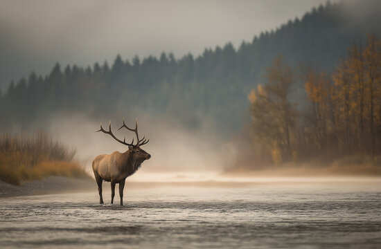 A majestic elk standing in the middle of a misty river - Powered by Adobe