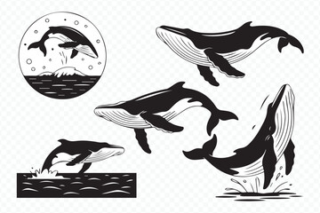 set of humpback whale vector graphics, mother and calf breaching and diving ocean wildlife art