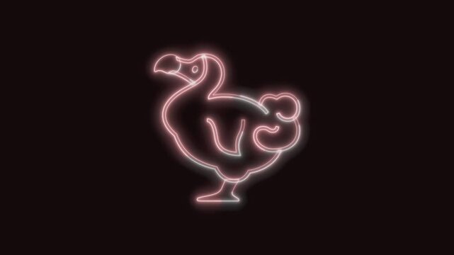  Dodo Animal Icon Neon Seamless Loop 4K with Black Background Animated Promotional Typography for Video Editing