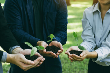 Concept of the Environment World Earth Day. Business hands holding green plants in soil together are the symbol of green business company and collaboration in a green business.