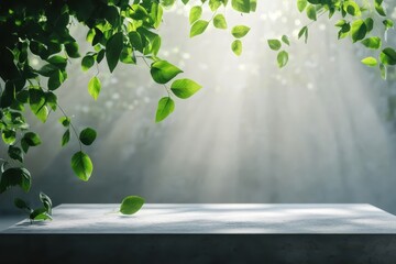 minimalist concrete podium with floating green leaves and sunlight.