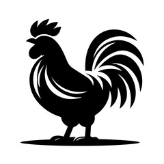 chicken black and white vector illustration, isolated on white background