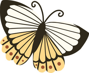 black and white butterfly