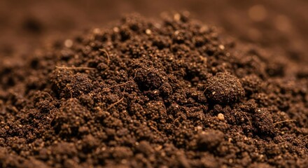 Dark, rich, moist, brown soil surface texture close-up.