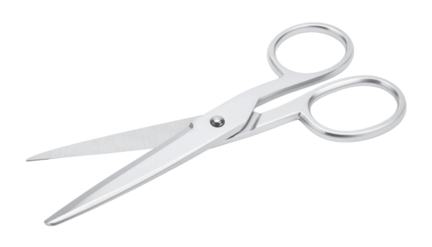 A silver metallic pair of scissors with pointed blades and round finger holes, designed for cutting various materials.