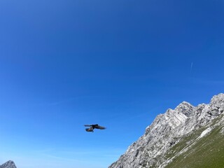 Fototapeta premium Wanderung Zugspitze Deutschland Österreich