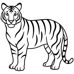 Roaring Grace White Tiger Full Body Line Drawing