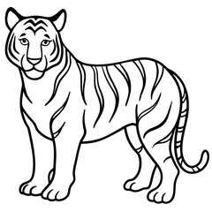 Roaring Grace White Tiger Full Body Line Drawing