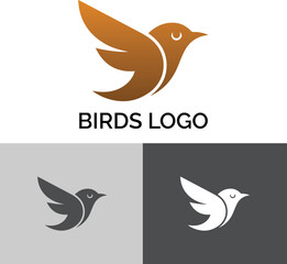 Stylized bird logo design in gradient orange and monochrome versions