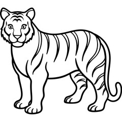 Roaring Grace White Tiger Full Body Line Drawing