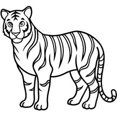 Roaring Grace White Tiger Full Body Line Drawing