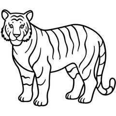 Roaring Grace White Tiger Full Body Line Drawing