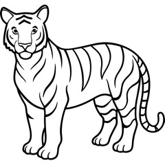 Roaring Grace White Tiger Full Body Line Drawing