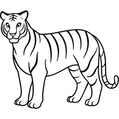 Roaring Grace White Tiger Full Body Line Drawing