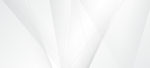 Background abstract white color design. clean style template. line art texture graphic. layout poster, banner.
