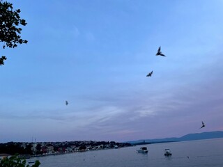 Urlaub, Kroatien, Insel, Krk