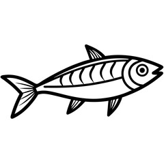 Sardine Sketch Vector Art