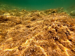 Urlaub, Kroatien, Insel, Krk