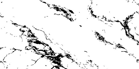 A high-contrast, black and white abstract pattern resembling intricate, organic veins or shattered glass against a pristine white background.