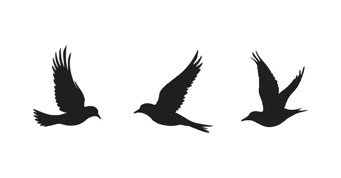 A clean black silhouette illustration of three birds in mid-flight, each captured in a different wing position. The design is minimalist and elegant, ideal for decorative prints, tattoos, or logo use.