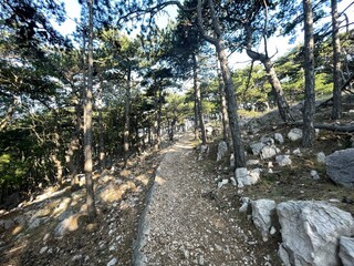 Urlaub, Kroatien, Insel, Krk