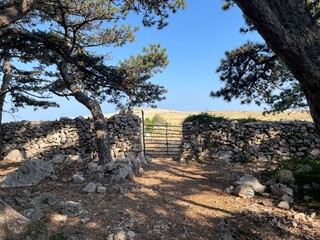 Urlaub, Kroatien, Insel, Krk