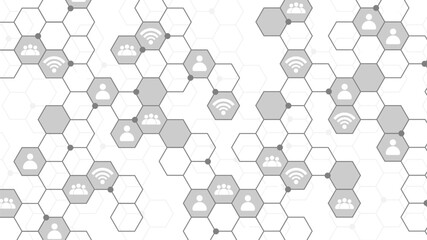 Networks and connectivity in the cyber age