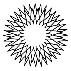 Sea Slug Ink Line Design