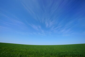 Fototapeta premium green grass and blue sky