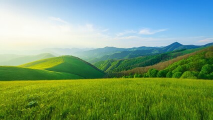 Fototapeta premium Lush green rolling hills bathed in golden morning sunlight