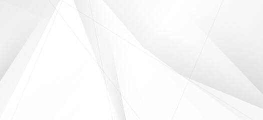 Background abstract white color design. clean style template. line art texture graphic. layout poster, banner.
